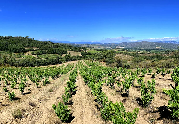 Domaine Pons Gralet