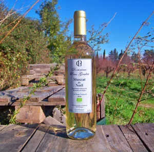 Muscat de Rivesaltes Pons Gralet